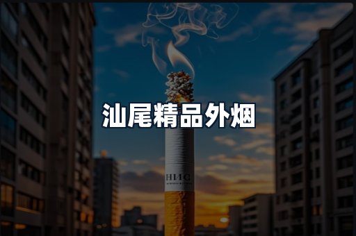 汕尾精品外烟